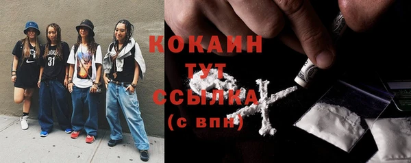 хмурый Арсеньев