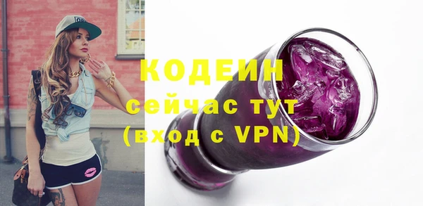 хмурый Арсеньев