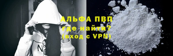 хмурый Арсеньев